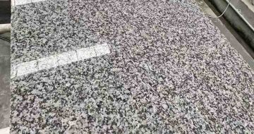 昆明 芙蓉白光面