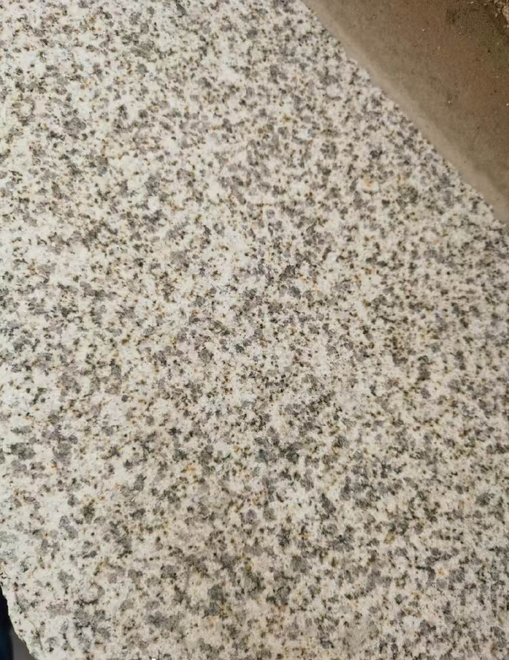 昆明 黄金麻中黄光面