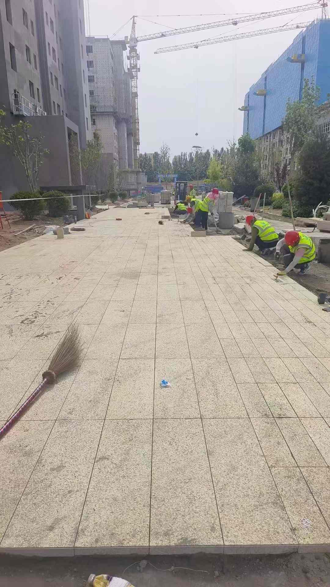 昆明黄金麻荔枝面地铺案例